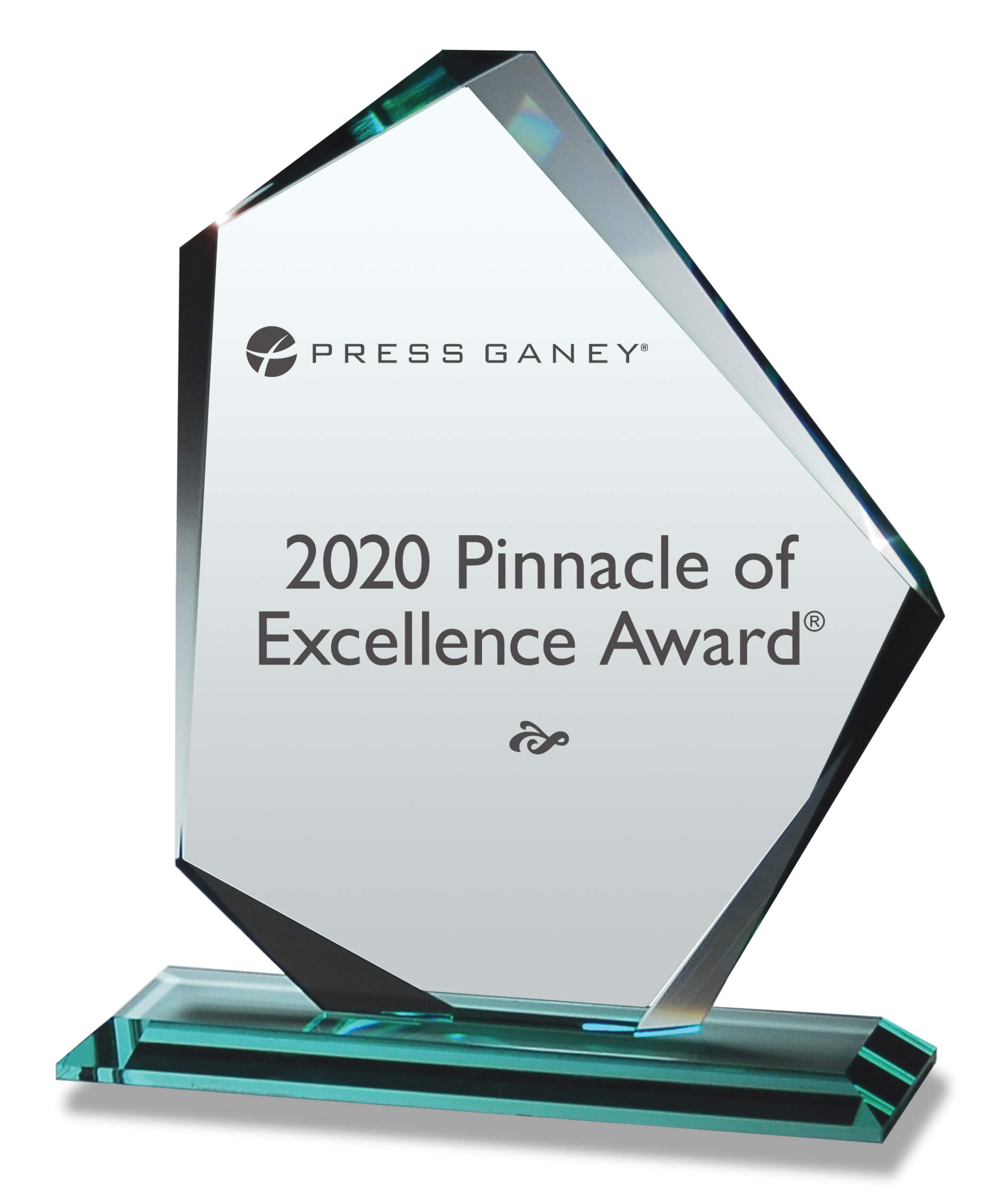 2020_pinnacle_excellence_award_high_rez 